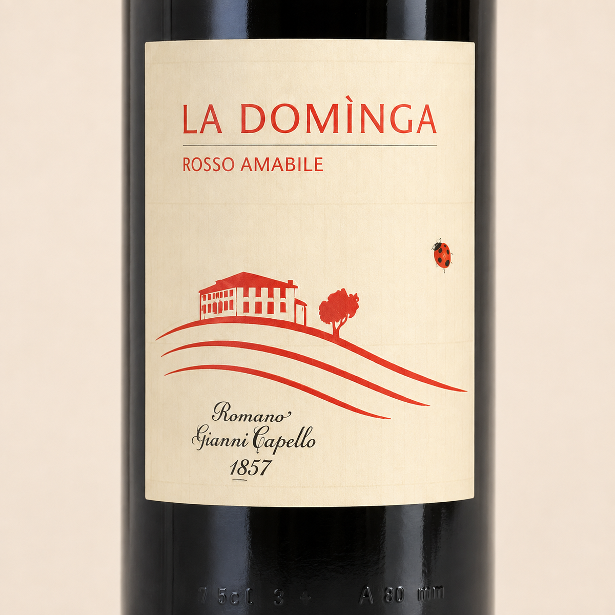 La Dominga Amabile